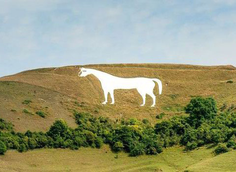 White horse near Westbury